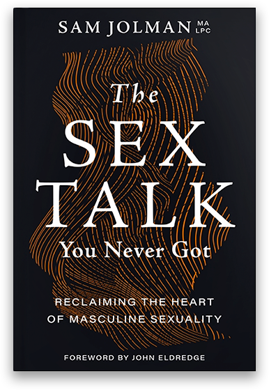 The Sex Talk You Never Got book cover