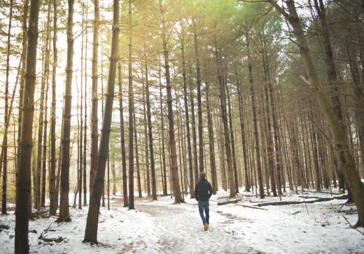 photo-1416888183170-a2d302d2dd9a-2